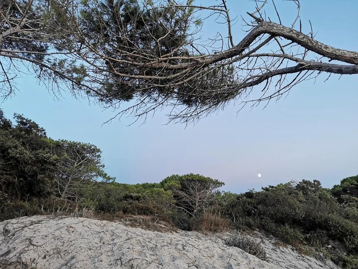 Alghermanzoni Alghero